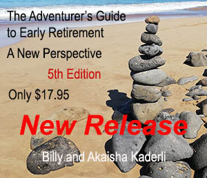  The Adventurer's Guide to Early Retirement 5th Edition