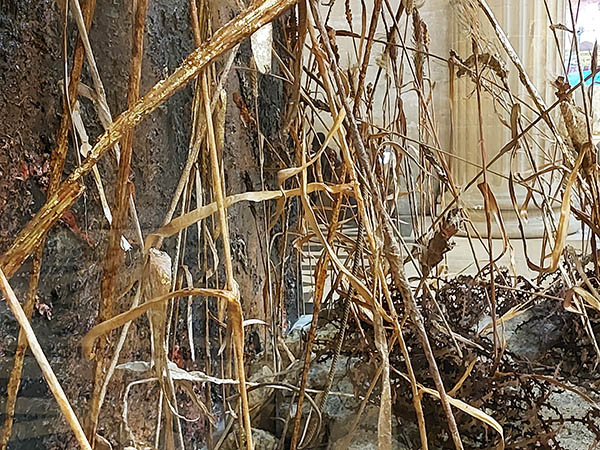 Tangled  web of weeds