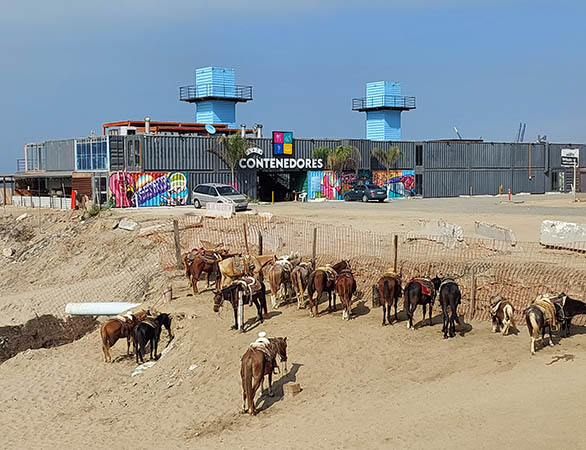 Horses for riding, and The Containers Restaurant area,  Ensenada, Baja California, Mexico