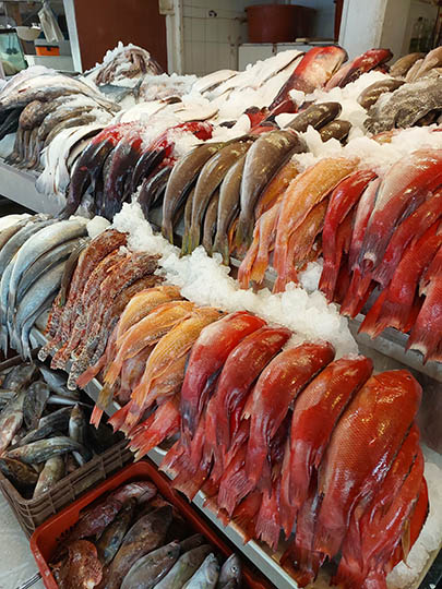 Fresh fish for sale including a different  type of red snapper