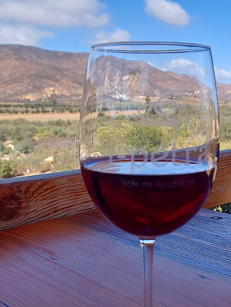 Glass of wine at i-petra Oeno Wine Lodge  Ensenada, Baja California, Mexico