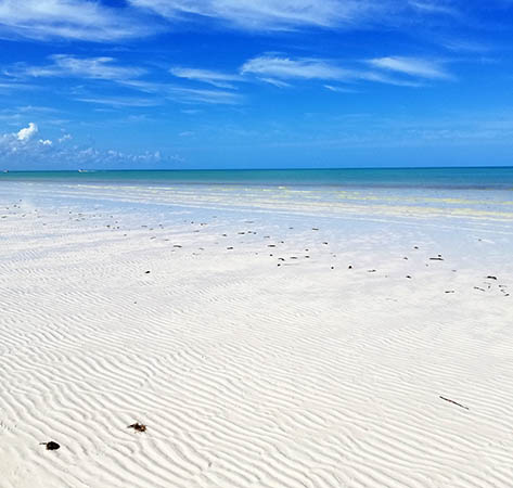 Sandbar, Mosquito Coast, Holbox, Yucatan, Mexico