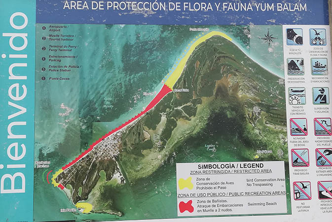 Yum Balam protection area of Isla Hobox, Quintana Roo, Mexico