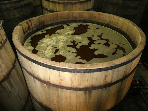 Natural fermentation in wooden barrels, La Altena Distillery, Arandas, Jalisco, Mexico