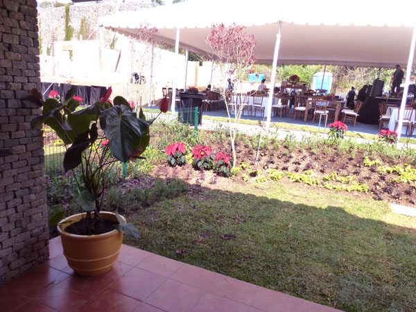 Backyard looking toward the reception area for the event, La Pueblita, Chapala, Mexico