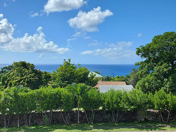 A look at the Caribbean Sea from a hill, Nevis, West Indies