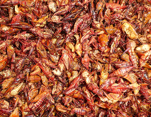 Close up of fried chapulines in Oaxaca Central Market, Oaxaca, Mexico