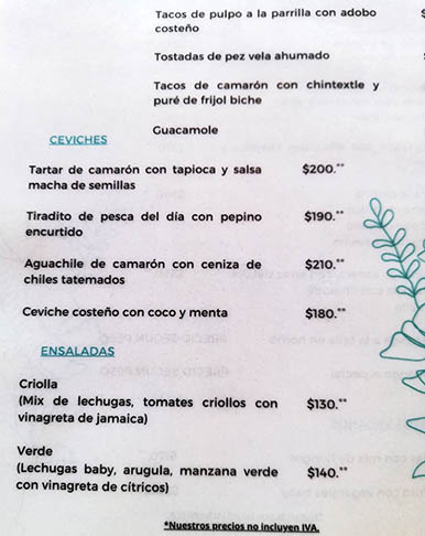 Menu at Terraza Zicatela, Puerto Escondido, Mexico