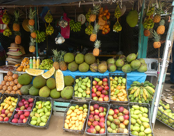 Tropical fruit stand - so fresh and delicious, Chacala Beach, Mexico