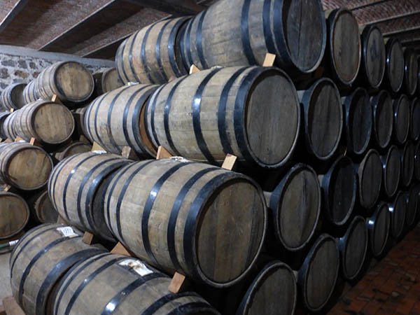 Tequila aging barrels of white oak, El Pandillo, Jesus Maria, Jalisco, Mexico