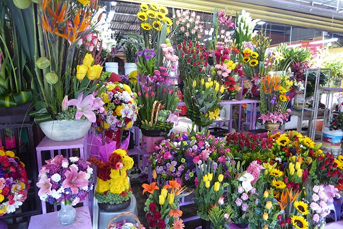 Skilled florist displays