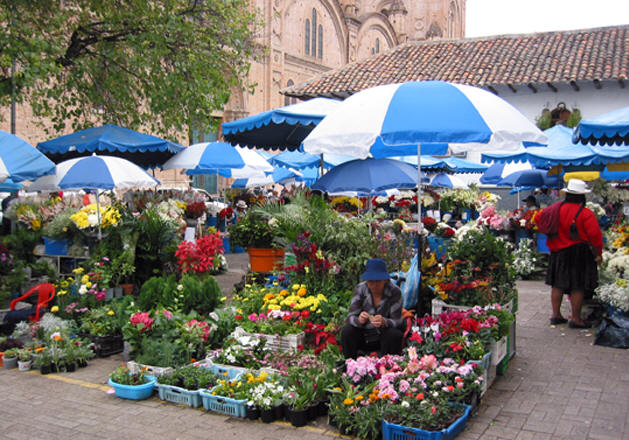 THE FLOWER MARKET IN OLD TOWN, CUENCA