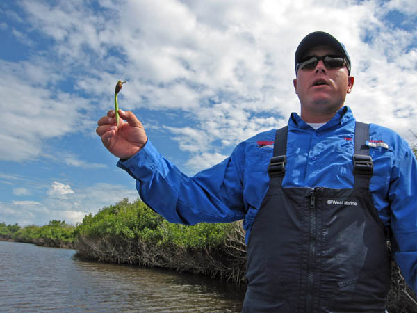 Captain Gary holds up a mangrove propagule