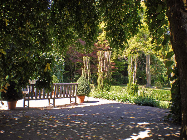 Countless gardens in which to reflect, read, or draw. Filoli gardens, Woodside, California