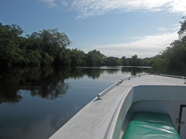 Belize's New River is smooth as glass. 
