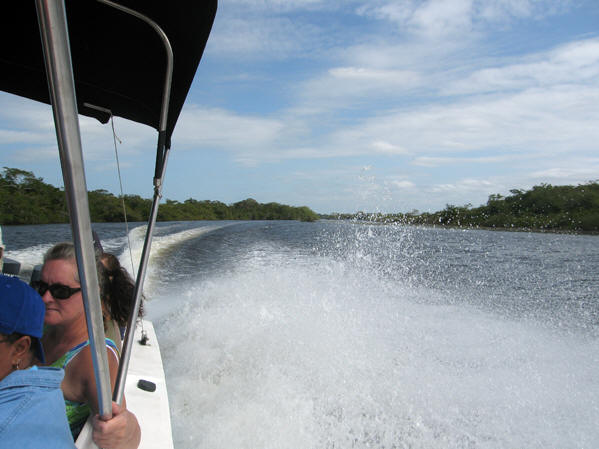 Our boat zips through the water, leaving a trail of spray. New River, Belize